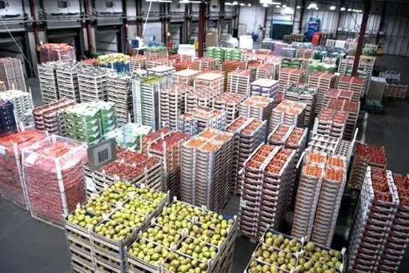 الصين: 600 مليار يوان صادرات المنتجات الزراعية خلال يناير - أكتوبر 2025